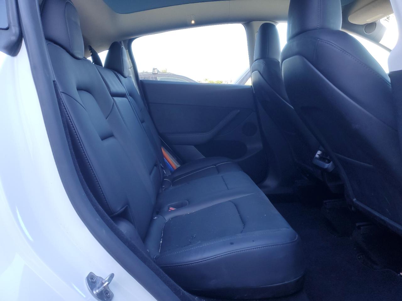 2024 TESLA MODEL Y  VIN:7SAYGDEFXRF117959