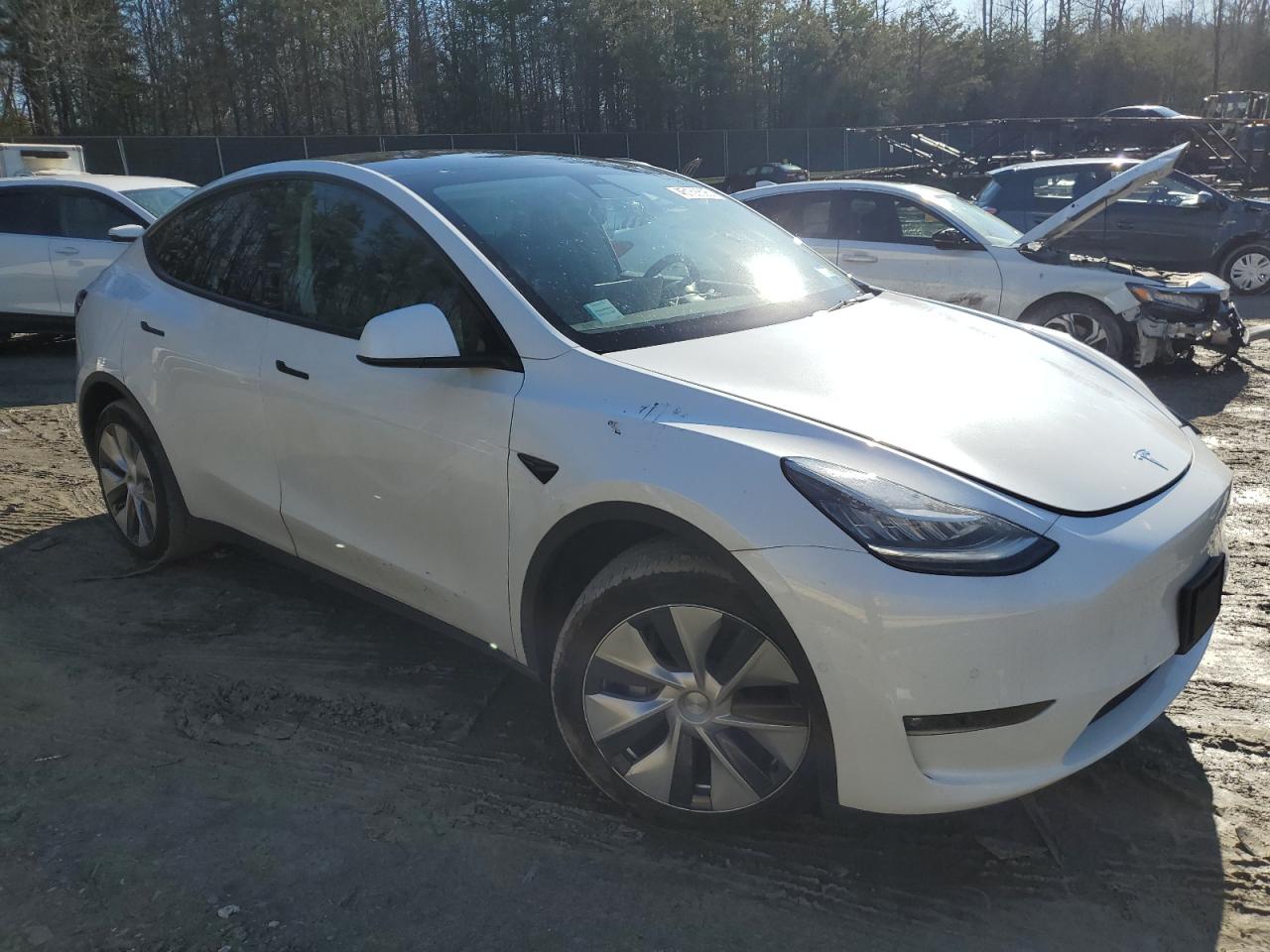 2022 TESLA MODEL Y  VIN:7SAYGAEE3NF466378