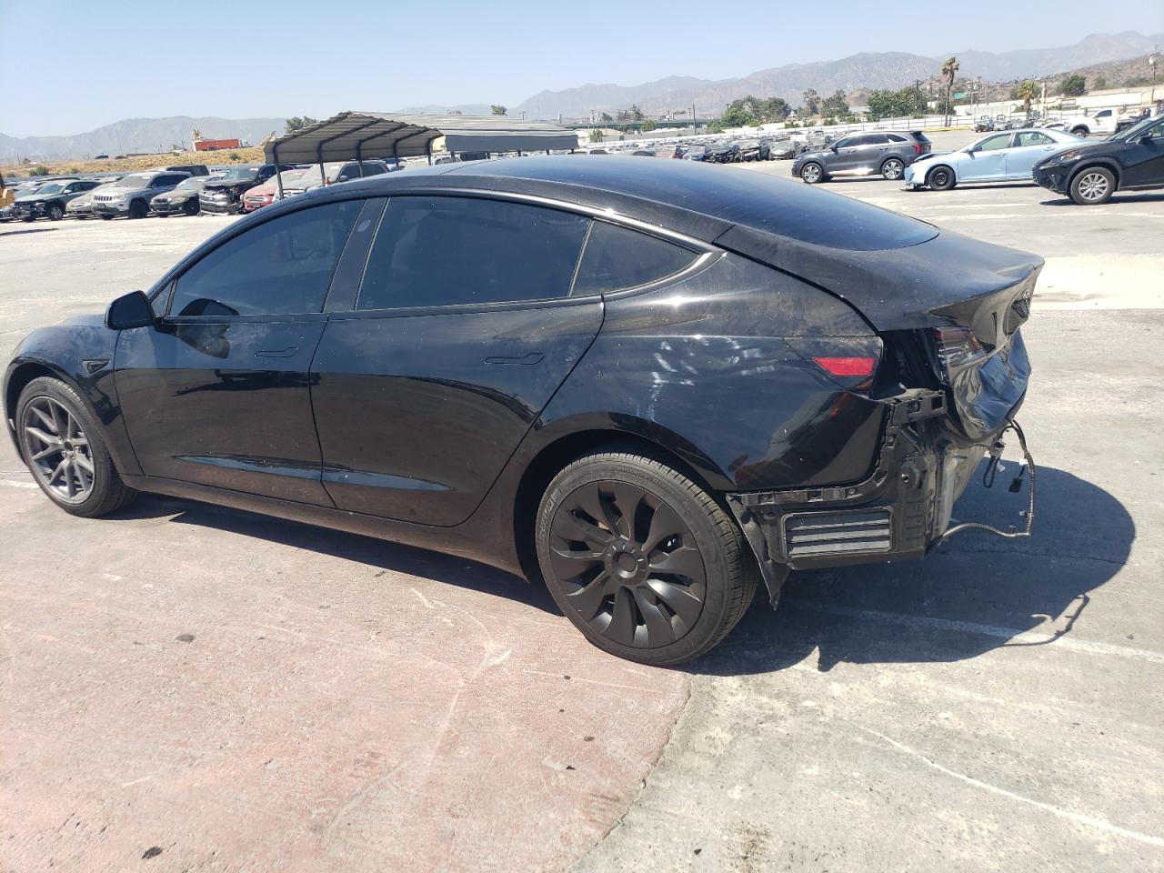 2023 TESLA MODEL 3  VIN:5YJ3E1EA0PF563647