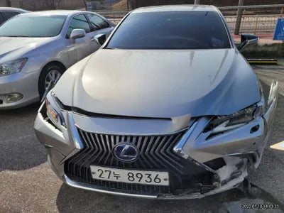 2019 Lexus ES 300 JTHB21B10K2052894 VIN:JTHB21B10K2052894