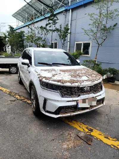 2021 Kia Sorento VIN: