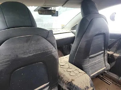 2020 Tesla Model 3 VIN: