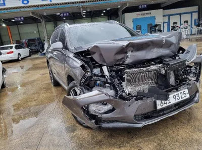 2019 Hyundai Santa FE KMHS381CBKU124651 VIN:KMHS381CBKU124651