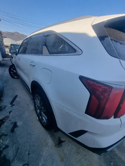 2021 Kia Sorento KNARL81BGMA022582 VIN:KNARL81BGMA022582