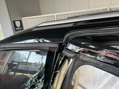 2021 Kia Carnival KNANC81BBMS029359 VIN:KNANC81BBMS029359