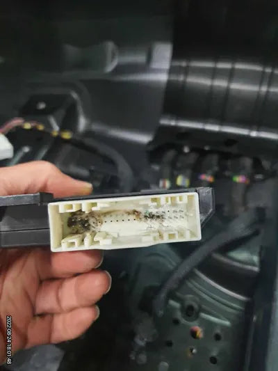 2020 Mercedes-Benz C 220 W1KWF1FB7LR569229 VIN:W1KWF1FB7LR569229