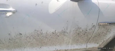 2016 Jaguar XJS VIN: