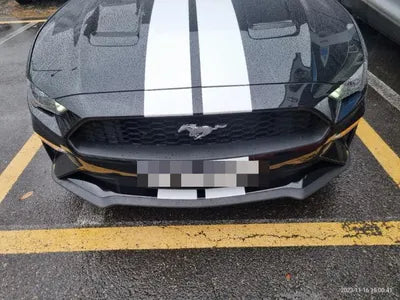 2019 Ford Mustang VIN: