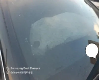 2019 Mercedes-Benz C 220 WDDWF1FB1KR465902 VIN:WDDWF1FB1KR465902