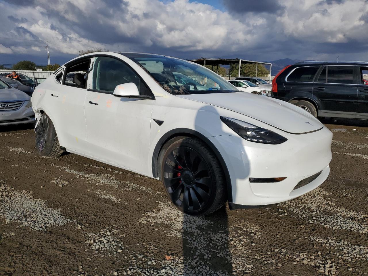2022 TESLA MODEL Y  VIN:7SAYGDEF4NF486603