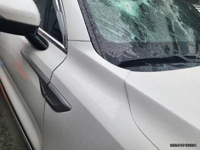 2021 Kia Sorento KNARK81BHMA012892 VIN:KNARK81BHMA012892