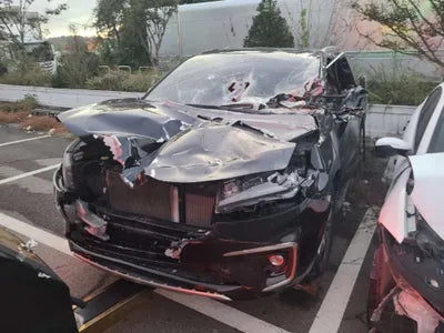 2019 Kia Carnival 904KMKNAMC81ABKS4 VIN:904KMKNAMC81ABKS4