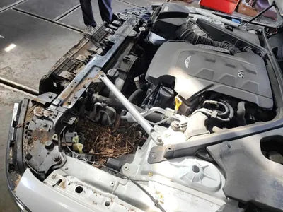 2020 Genesis G90 VIN: