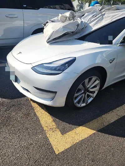 2019 Tesla Model 3 VIN: