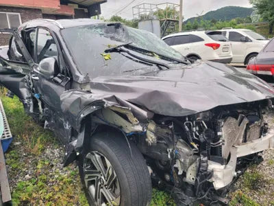 2021 Hyundai Santa FE KMHS381HHMU326207 VIN:KMHS381HHMU326207