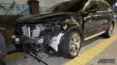 2021 Kia Sorento KNARH81BGMA088913 VIN:KNARH81BGMA088913