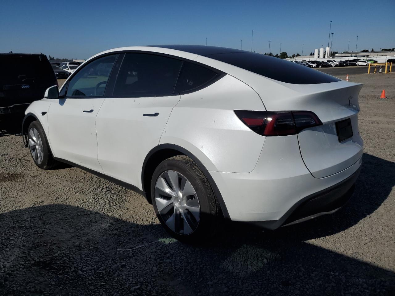 2023 TESLA MODEL Y  VIN:7SAYGDEEXPA148517