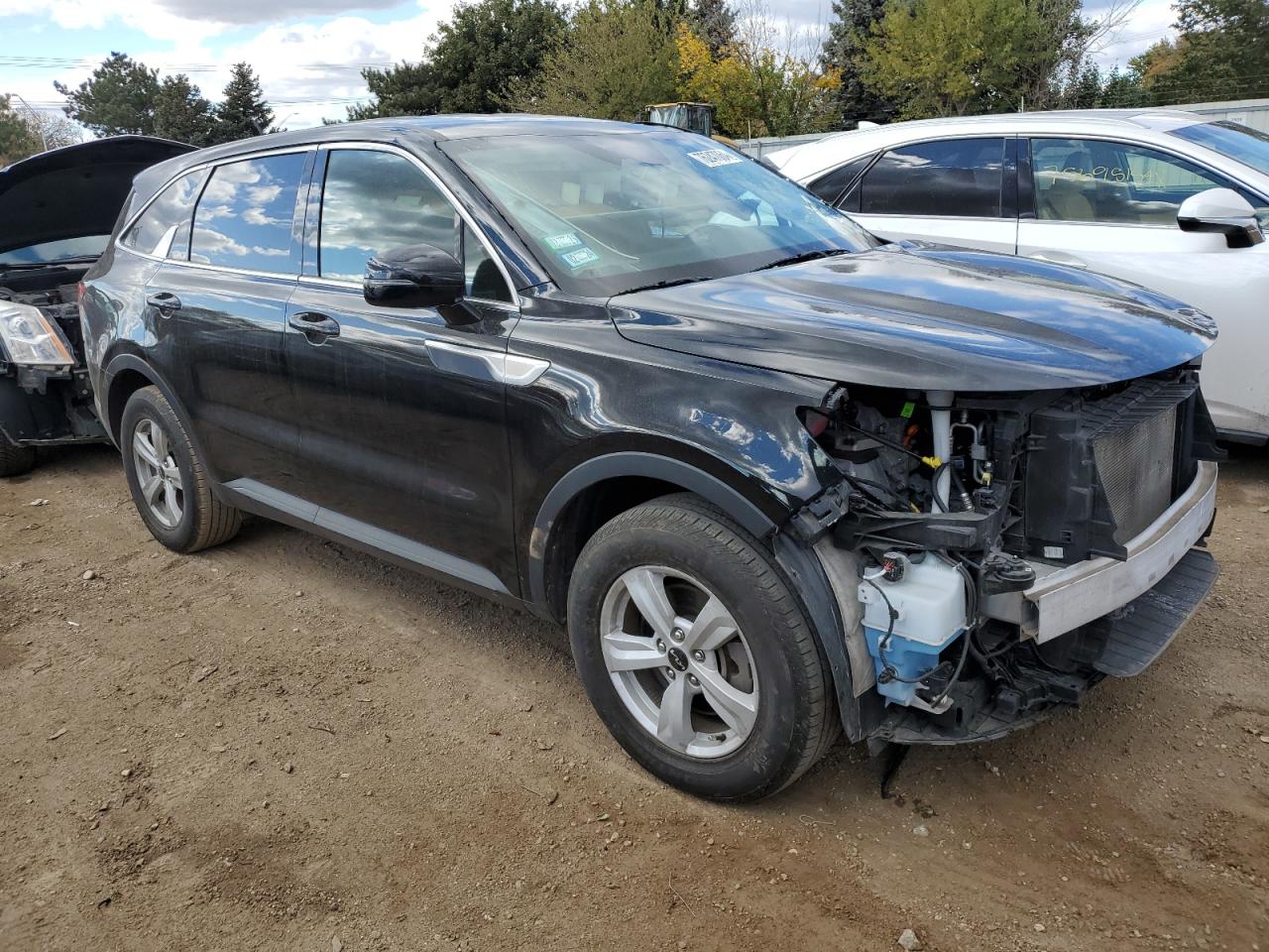 2022 KIA SORENTO LX VIN:5XYRG4LC0NG134184