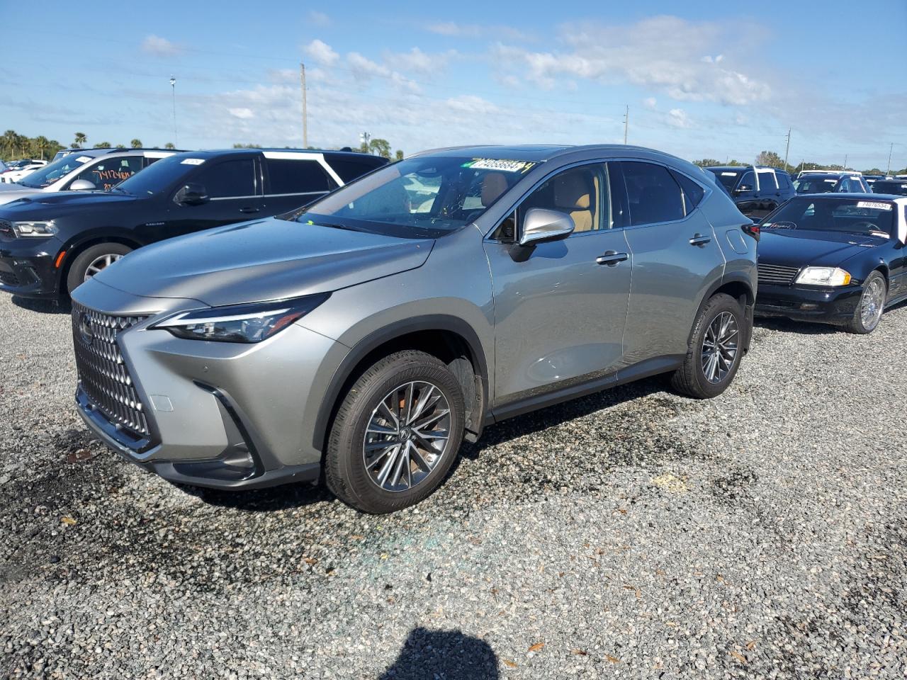 2022 LEXUS NX 250 VIN:JTJGDCAZ9N5002290