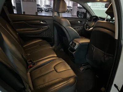 2020 Hyundai Santa FE KMHS281BBLU239585 VIN:KMHS281BBLU239585