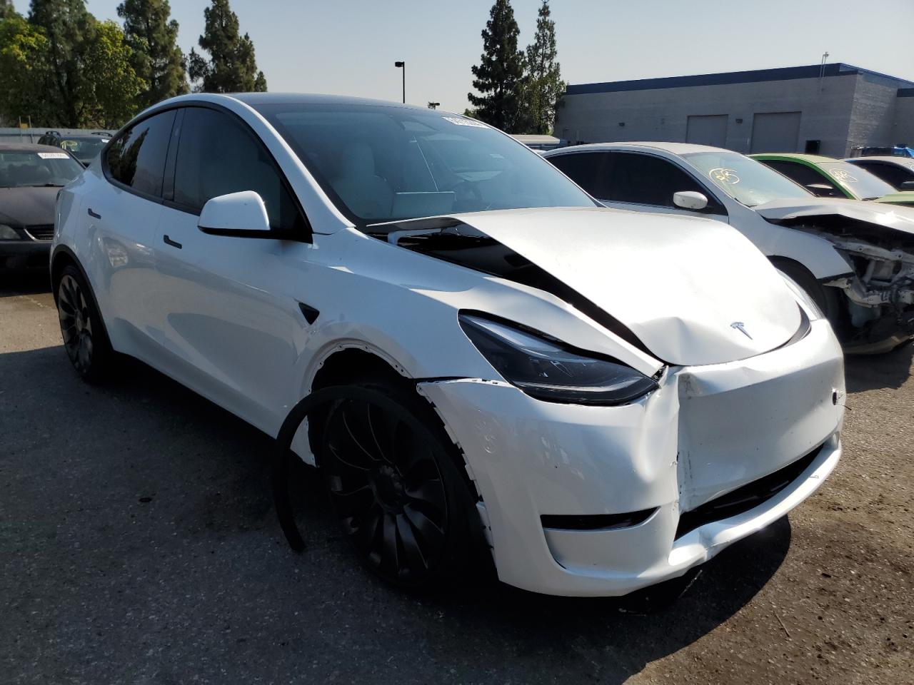 2024 TESLA MODEL Y  VIN:7SAYGDEF2RF117616