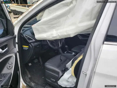 2017 Hyundai Santa FE KMHSW81UBJU794286 VIN:KMHSW81UBJU794286