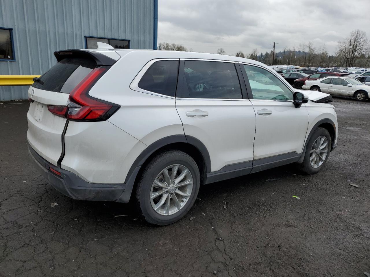 2024 HONDA CR-V EXL VIN:5J6RS4H7XRL012110