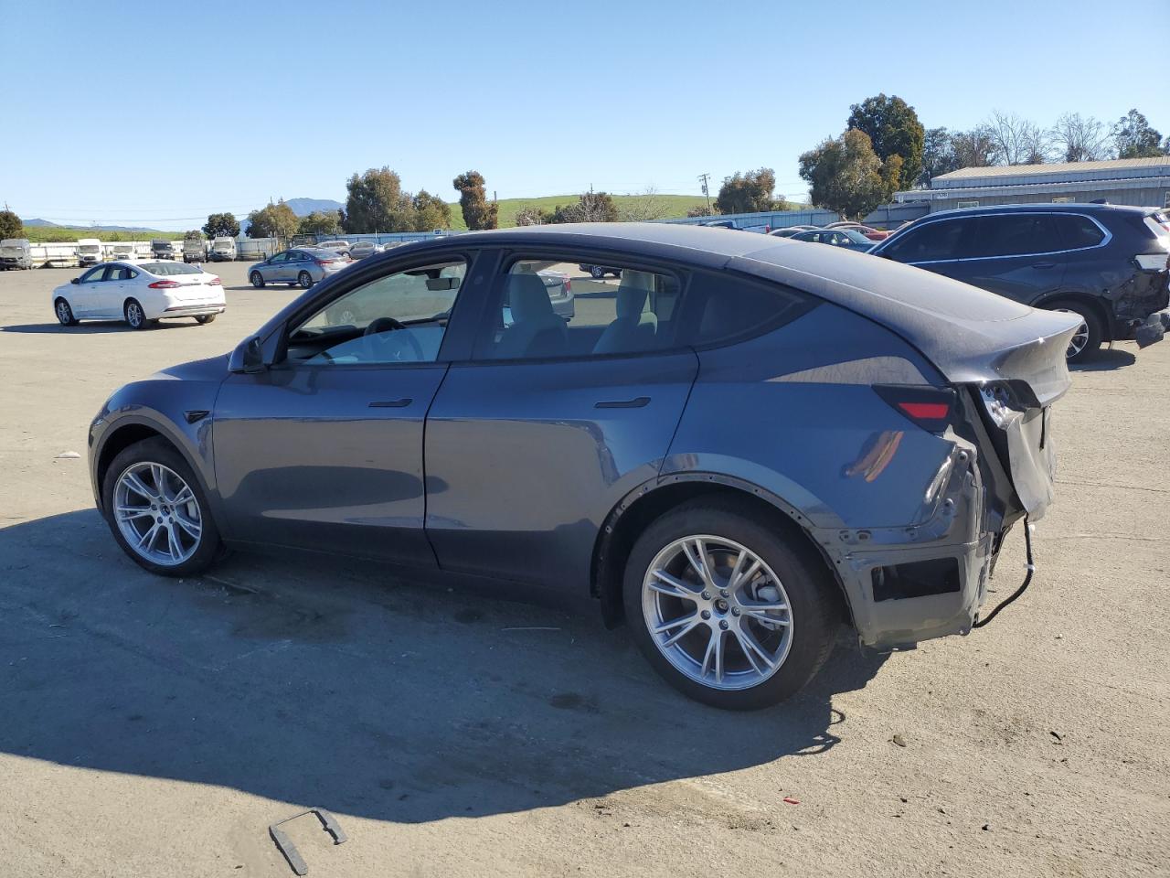 2024 TESLA MODEL Y  VIN:7SAYGDEE9RA215563