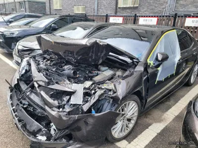 2019 Toyota Camry JTNB21HK9K3017410 VIN:JTNB21HK9K3017410