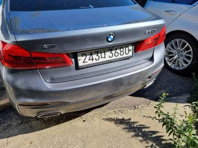 2020 BMW 520 WBAJF5105LWW55090 VIN:WBAJF5105LWW55090