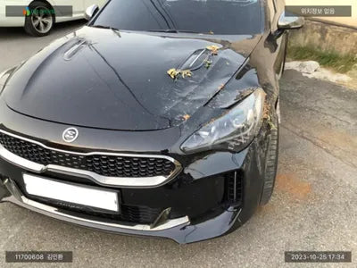 2017 Kia Stinger KNAE751CBJS001270 VIN:KNAE751CBJS001270