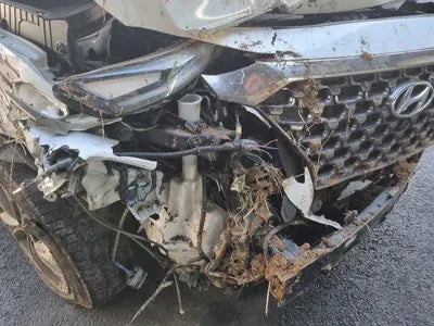 2019 Hyundai Santa FE KMHS581CDKU150496 VIN:KMHS581CDKU150496