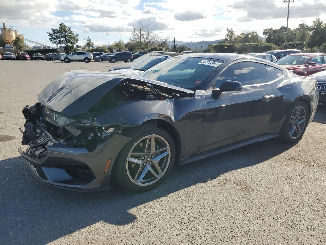 2024 FORD MUSTANG  VIN:1FA6P8TH5R5133106
