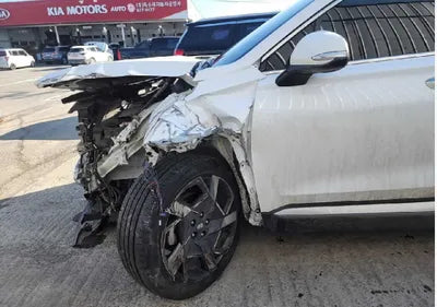 2021 Hyundai Santa FE KMHS381HGMU310393 VIN:KMHS381HGMU310393