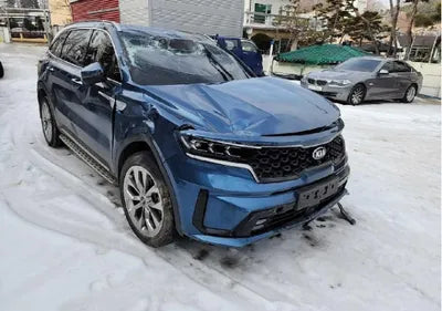 2021 Kia Sorento KNARK81BGMA022168 VIN:KNARK81BGMA022168
