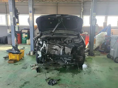 2019 Hyundai Santa FE KMHS381BBKU044937 VIN:KMHS381BBKU044937