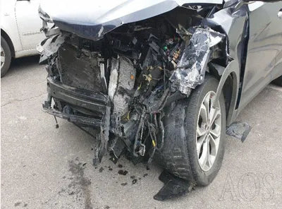 2015 Hyundai Santa FE KMHSW81XDFU418422 VIN:KMHSW81XDFU418422