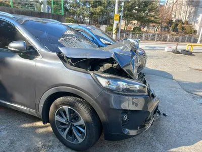 2019 Kia Sorento 667KMKNAPG81ABKA5 VIN:667KMKNAPG81ABKA5
