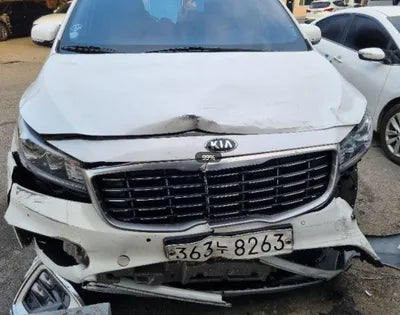 2020 Kia Carnival KNAME81ABLS615215 VIN:KNAME81ABLS615215