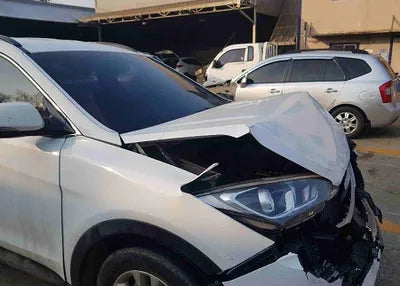 2018 Hyundai Santa FE KMHSW81UBJU834628 VIN:KMHSW81UBJU834628