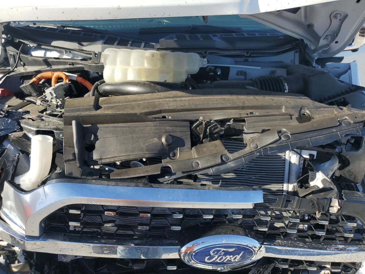 2023 FORD F150 SUPERCREW VIN:1FTFW1ED9PFB64686