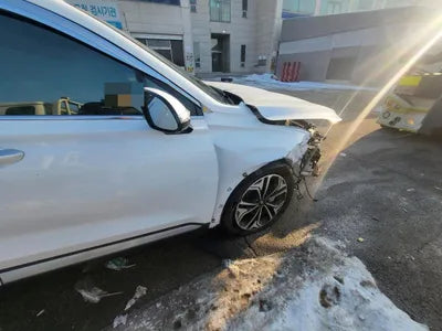 2020 Hyundai Santa FE KMHS381CBLU292936 VIN:KMHS381CBLU292936