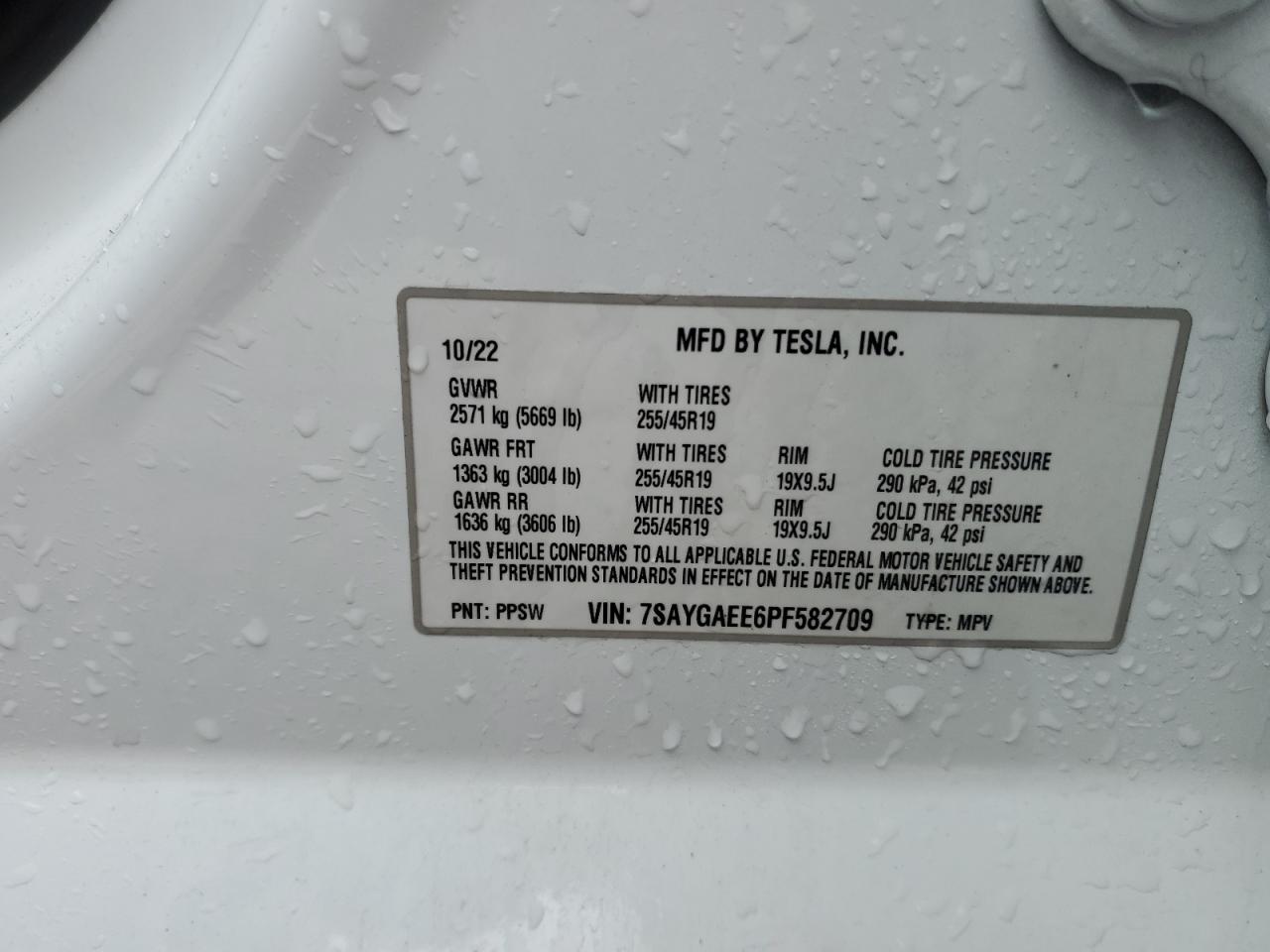 2023 TESLA MODEL Y  VIN:7SAYGAEE6PF582709