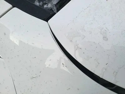 2019 Mercedes-Benz E 220 WDD1J1EB6KF073347 VIN:WDD1J1EB6KF073347