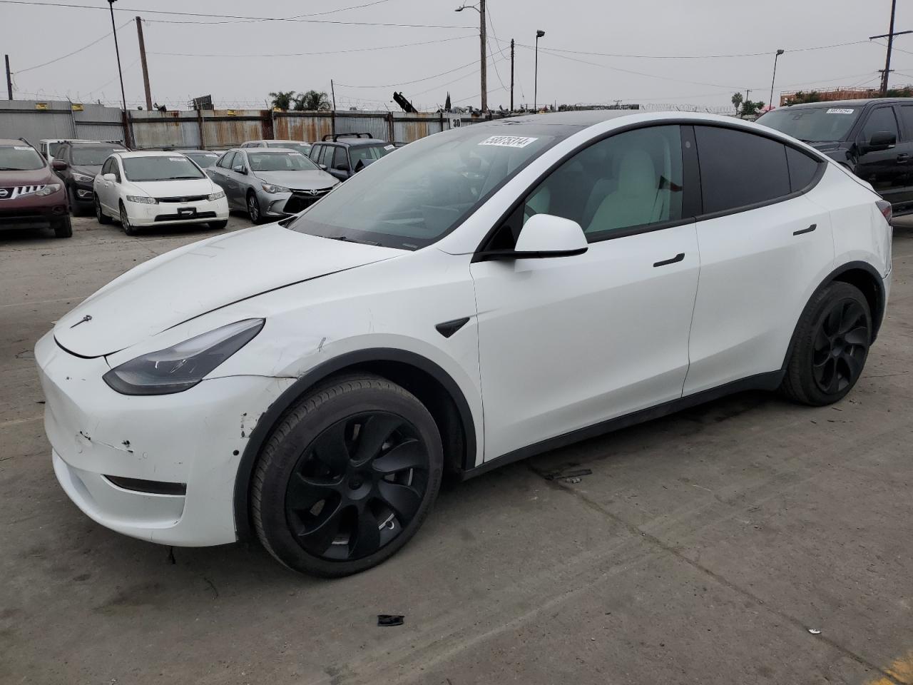 2022 TESLA MODEL Y  VIN:7SAYGAEE8NF559588