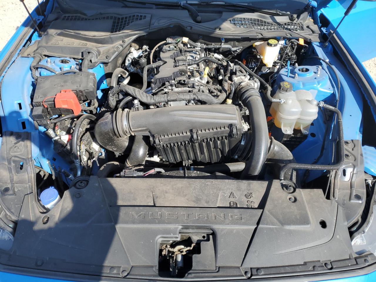 2024 FORD MUSTANG  VIN:1FA6P8TH9R5122934