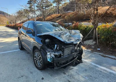 2019 Hyundai Tucson KMHJ381ABKU009046 VIN:KMHJ381ABKU009046