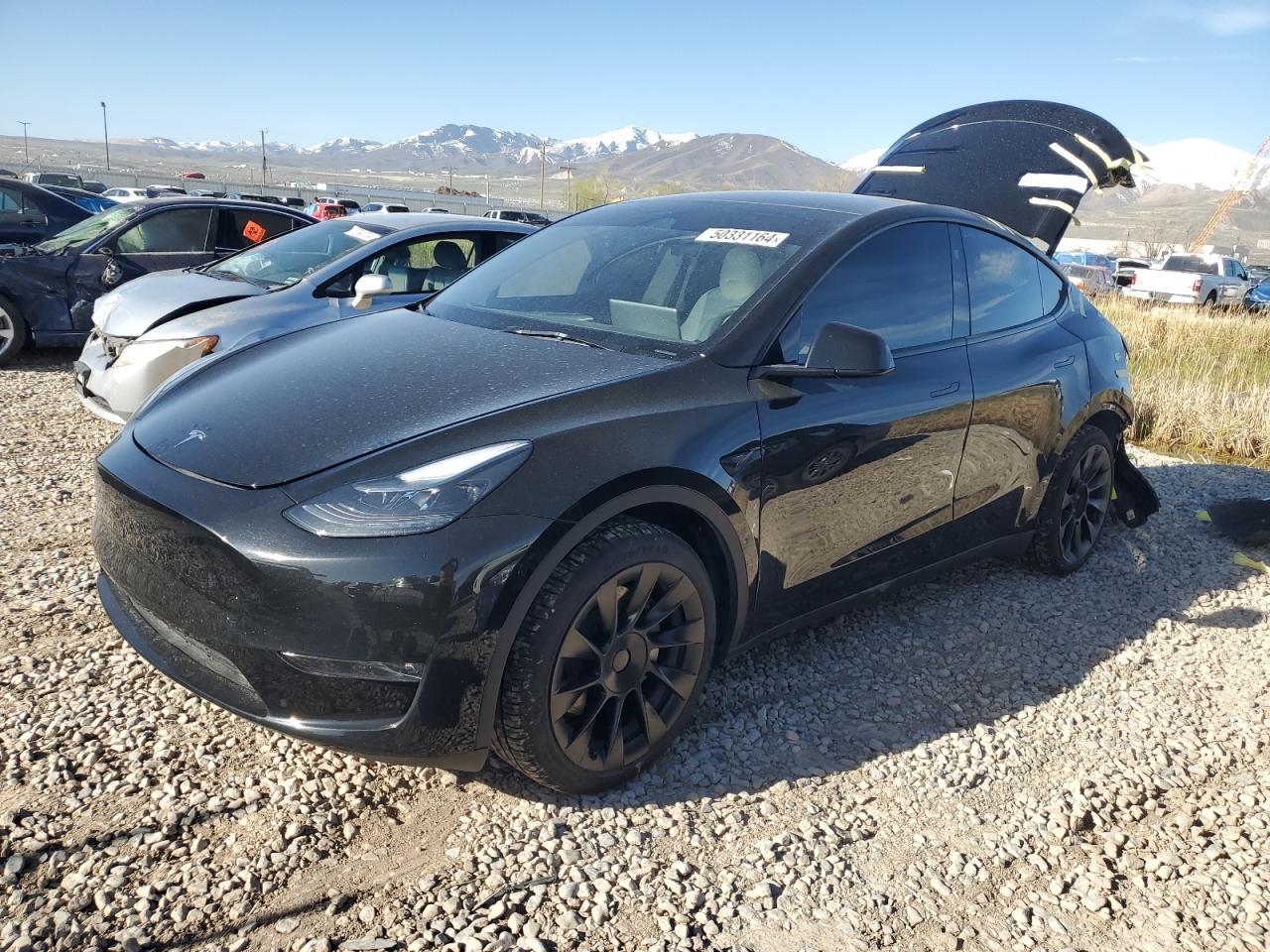 2023 TESLA MODEL Y  VIN:7SAYGAEE0PF905779