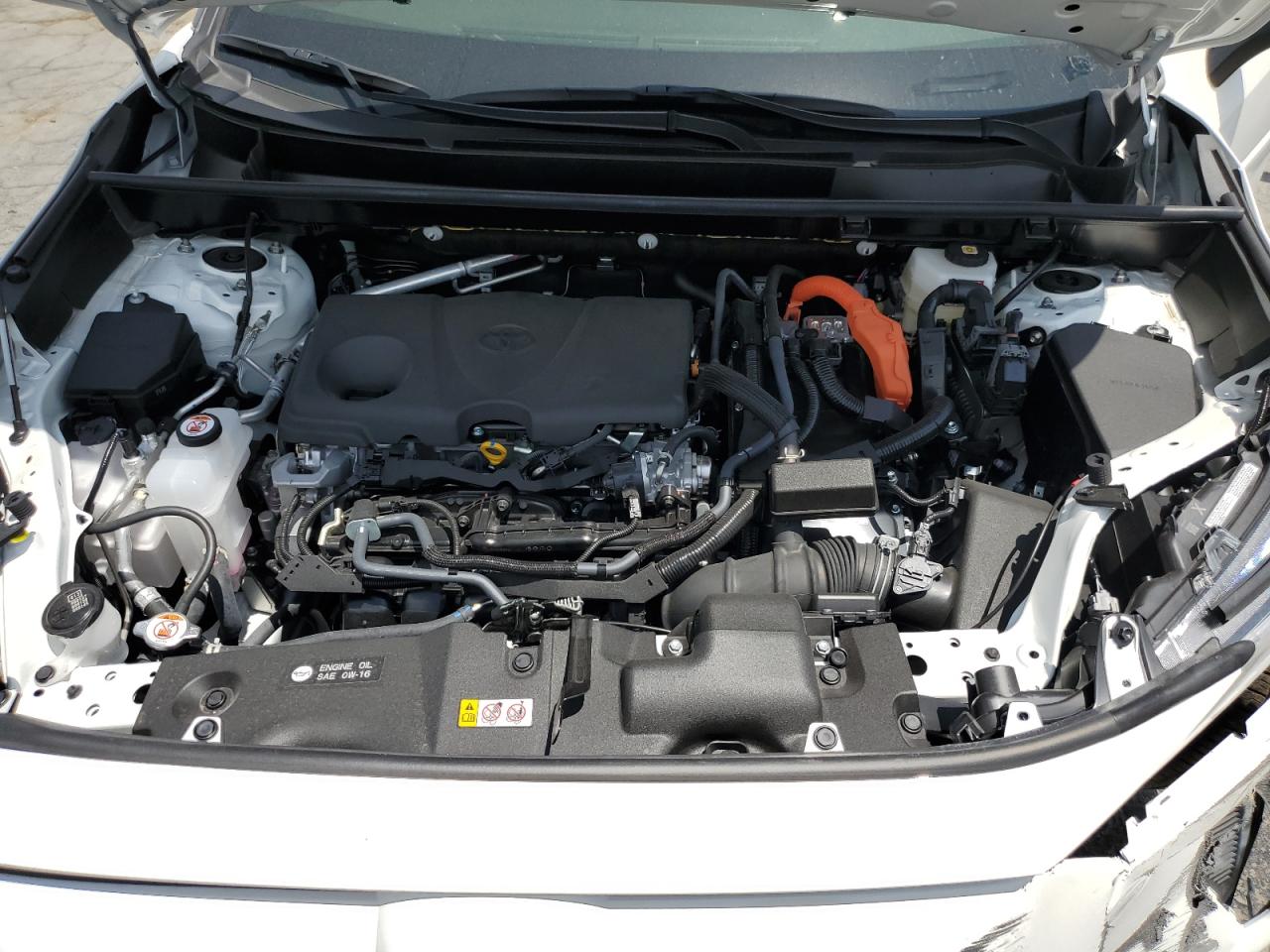 2024 TOYOTA RAV4 XLE VIN:JTMRWRFV7RD240245