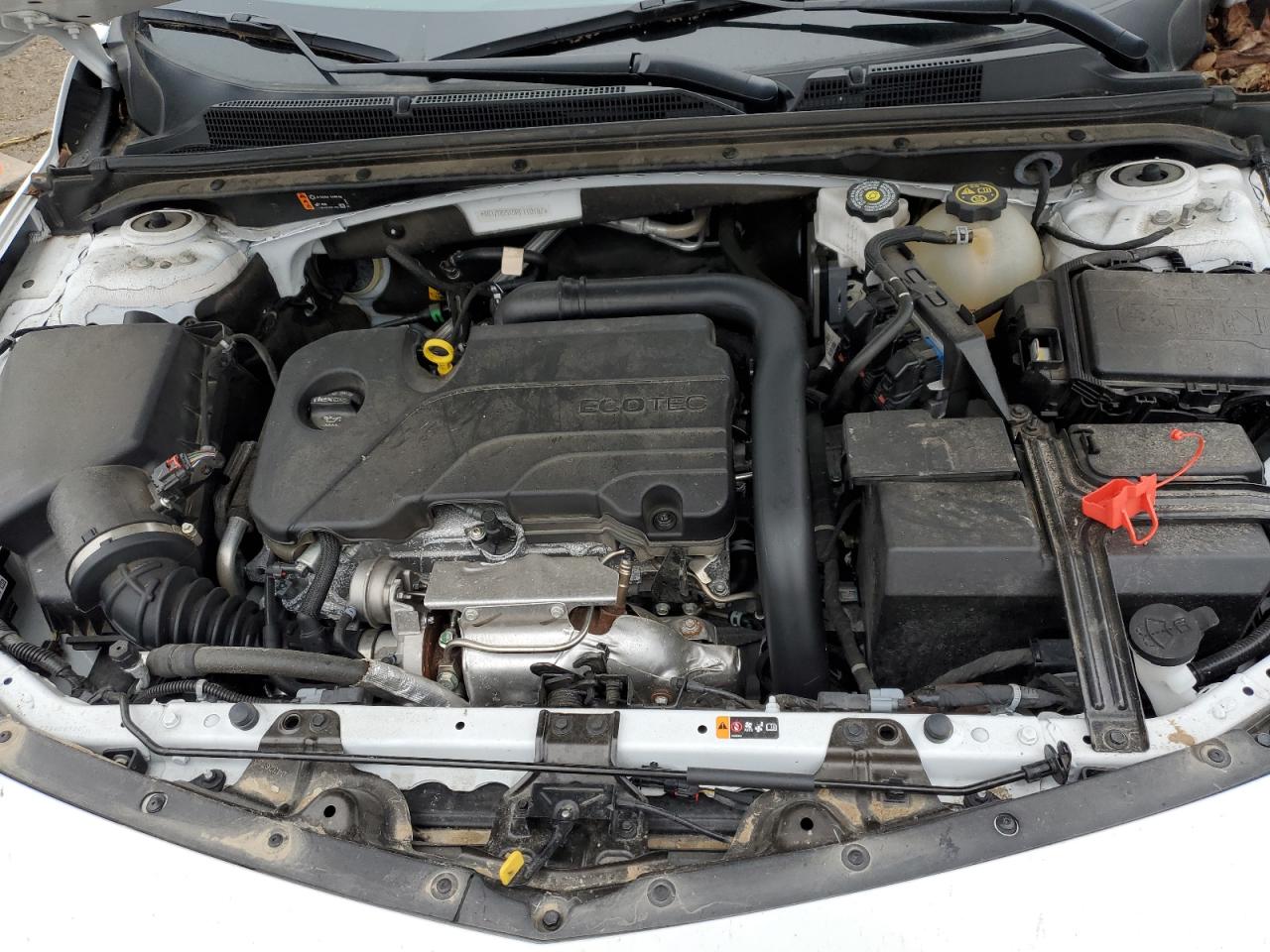 2024 CHEVROLET MALIBU LT VIN:1G1ZD5ST5RF110187